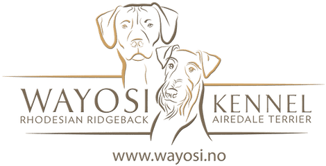 Kennel Wayosi - Logo For Dog Kennel Png