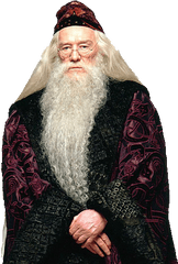 Albus Dumbledore Png Image - Potter And The Stone