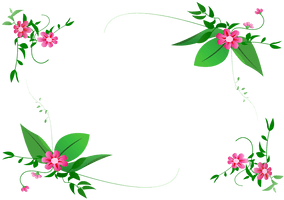 Floral Frame Border Download Free Image - Free PNG