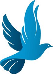 Pin By Karan Wings - Png Church Dove Logo