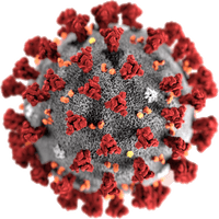 Coronavirus PNG File HD