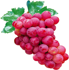 Red Grapes - Red Grapes Png