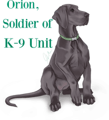 Download Hd Great Dane Puppy Blue By - Animated Great Dane Png