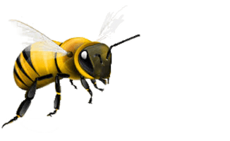 Honey Flying Bee Download HD - Free PNG