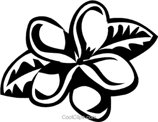 Plumeria Royalty Free Vector Clip Art Illustration - Vc029488 Plumeria Clip Art Png