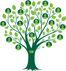 Family Tree Clipart Png People 40 Stunning Cliparts - Family Tree Clipart Png