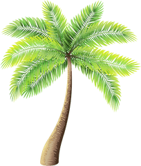 Transparent Background Palm Tree Clipart Png - Transparent Palm Tree