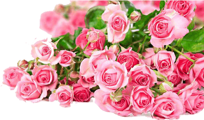 Download Pink Roses Flowers Bouquet Png - Beautiful Flowers Pink Roses