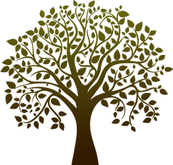 Tree Life Png Transparent Images Free - Bodhi Tree Vector Png