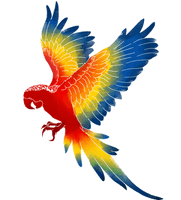 Macaw Png Image