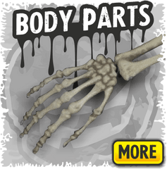 Download Body Parts A Skeletons Decor - Bone Png