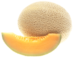 Cantaloupe Yellow PNG Image High Quality