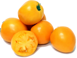 Persimmon Picture - Free PNG