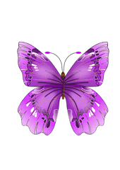 Butterfly Png Image - Purple Butterfly