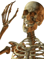 Skeletons Transparent Png Images - Png Skeleton