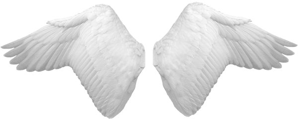 Download White Wings Png Image For Free - Angel Wings Psd