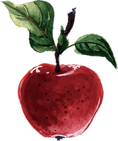 Plant-Based Illustrator Apple Packs Diet Vector Adobe - Free PNG