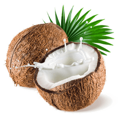 Png Image Transparent Background - Transparent Background Coconut Png