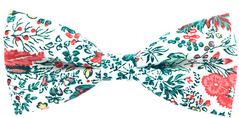 Albino Bush Dog Tie - Paisley Png