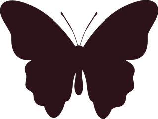 Silueta Mariposa Png Transparent Images - Silhouette Butterfly Vector Png