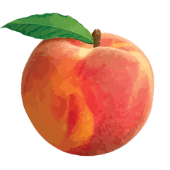 Clip Art - Peach Png