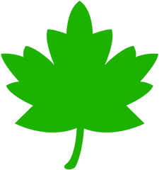 Icon Leaf Green - Leaf Clip Art Png