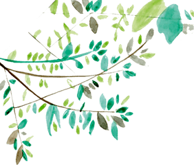 Download Ftestickers Watercolor Leaves - Tree Branches Watercolor Png