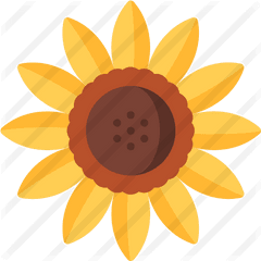 Sunflower - Happy Png