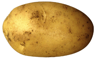 Potato Png Clipart