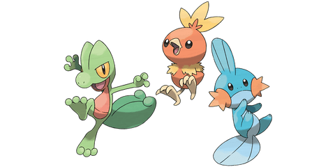 Pokemon Torchic Treecko Mudkip - Treecko Torchic Mudkip Png