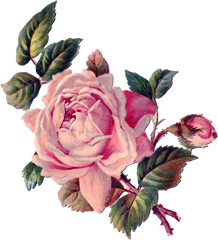 Download Vintage Roses Floral Rose Art - Roses Vintage Png