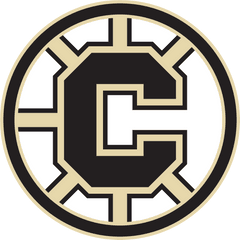 Download Boston Bruins Logo Png - Delisle Chiefs