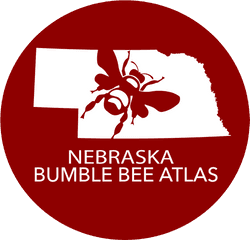 Nebraska Bumble Bee Atlas - Language Png