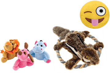 Dog Toys Dental Plush Cat Westminster - Soft Png