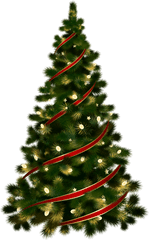 Download Hd Christmas Tree Png - Christmas Tree With