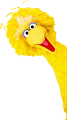 Beak Big Bird Feather Yellow - Big Bird Transparent Background Png