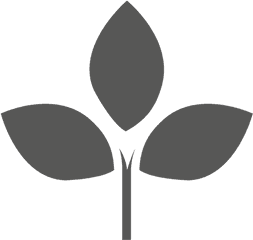 Plant Icon - Transparent Png U0026 Svg Vector File Dibujo De Planta En Png