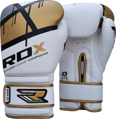 Boxing Gloves Png Transparent Image - Pngpix Boxing Gloves Rdx