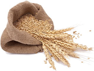 Download Local Wheat Flour - Milled Grains Png