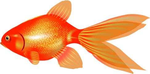 Png Goldfish Images Transparent - Gold Fish Graphic Clip Art Transparent Background