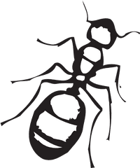 Pencil And In Color Ants Clipart Png - Ant Clipart Black White