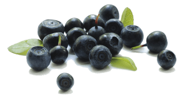 Berries Transparent Background - Free PNG