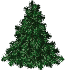 Christmas Pine Tree Png Free Download - Christmas Tree Png Free