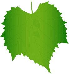 Leaf Clipart - Clipartworld Vector Graphics Png