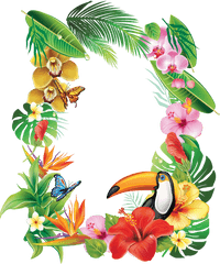 Natali - Frame Tropical Flower 1223x1463 Png Clipart Tropical Flower Frame Png