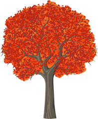 Arbol Clipart Arbre - Tree Cartoon Autumn Cartoon Tree Red Png