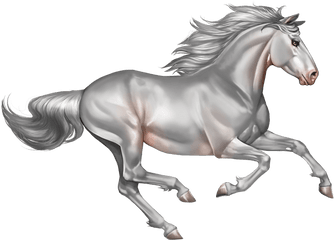 Index Of - Running White Horse Png