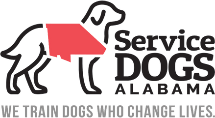 Service Dogs Alabama - Dog Catches Something Png