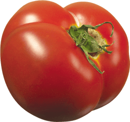 Tomato Icon Clipart Web Icons Png - Tomato