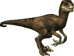 Velociraptor Png Image With No - Velociraptor Transparent Background Png